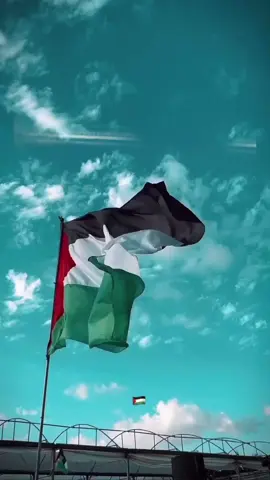 #CapCut #غزة #القدس #غزة#غزة #🇵🇸🇵🇸🇵🇸 #سوريا🇸🇾 