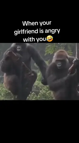 🤣🤣🤣🤣#funny #funnyvideo #good #mood #humor #fyp #foryoupage 