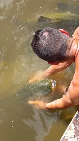 #valdemir  encantador de peixe gigante 