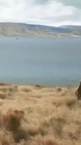 San Mateo 5 , 1 - 12 🙏 Miércoles 1 De Noviembre Del 2023