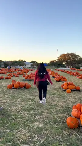 and just like that october is over, till next year pumpkin patch 🍂🫶🏼🎃  #pumpkinpatch #pumpkin #pumpkinseason #fallvibes #fallaesthetic #spookyseason #halloween #fall #autum #october 