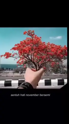 Cuman mau bilang; Terima kasih banyak Bapa Jesus karena telah menuntun aku melewati bulan kemarin dengan begitu baik. Aku percaya berkat dan perlindungan Mu akan menyertai aku melewati bulan ini juga. Goodbye October and welcome November#nttpride🏝🔥 