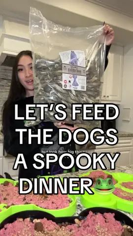 Happy Halloween! Hope everyone has a fun and safe night🤪 let’s feed the dogs a spooky dinner🔮🐸 #dogfood #rawdogfood #dogfeedingroutine 