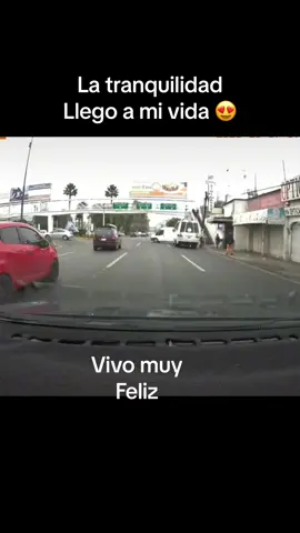 Nada me despera. Vivo muy feliz. #TikTokHalloween #vivo #feliz #nada #me #desespera #jungladeasfalto #muevetehijodetu🤣🤣🤣 #nadamedesespera 