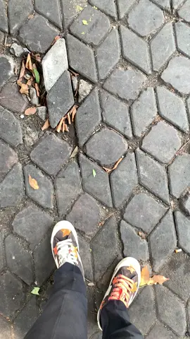 well#lampualis #vario 