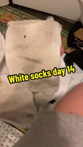 #whitesocks #stinkysocks #filthysocks #14days 
