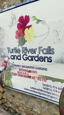 If you’re just joining, check out my previous video 😂!  Anyways….I would not recommend unless you’re up for adventures of the ruins.👀 THINGS TO NOTE (if you insist on going):  You have to lift the barrier and enter and call for the caretaker It is very slippery at certain spots so be careful  We paid the caretaker/tour guide for his assistance.  #thingstodoinjamaica #travel #fruehjt #adventures #thingstodoinochorios #jamaica #turtleriverparkochorios #visitjamaica #turtleriverfalls #ochorios 