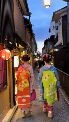 Pontocho Alley, Gion District. #geisha #pontocho #giondistrict #japantrip #vacation 