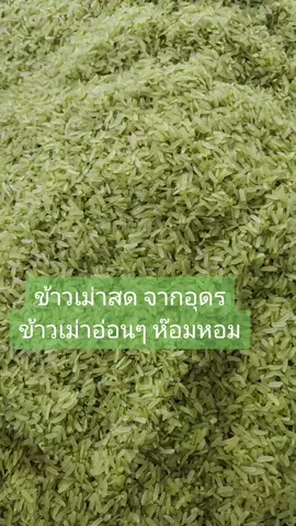 #ข้าวเม่าสดหอมอร่อย🌾🌾 #ข้าวเม่าสดเมืองอุดรของแซ่บแถบอีสาน #ข้าวเม่าสด #ขึ้นฟีดเถอะ 