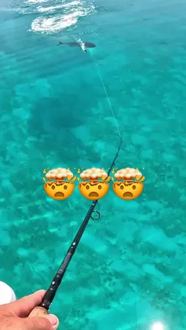 GIANT Fish are SAVAGE !!! 🤯🤯🤯 Full video on our YouTube channel  #fishing #fishtok #greatbarrierreef #fyp #foryou #gianttrevally 