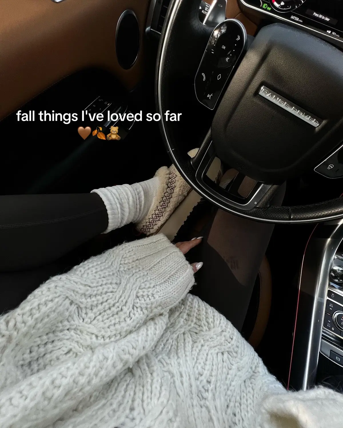 Its the little things🧸🤎🍂 #cozyathome #coffee #fallgirl #fallmoments #fallsofar #fallthings #pinterestaesthetic #fallaesthetic #puppy 