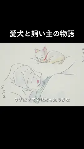 #犬の日 最後まで是非みてください🐶  #吉田山田 #なんてことない日常 #愛犬がいる暮らし #ペットのいる暮らし #うちの犬 #飼い主とペット #犬のいる生活 #家族の日常 #大好きな君へ 