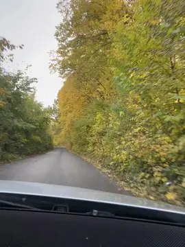 @Tura Hvost це шедевр🔥 #золотава_осінь🍁🍂 #турахвост #осінь #українськаприрода 