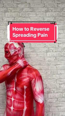 Are you experiencing spreading chronic pain throughout your body? Maybe it started in one specific area and now it’s growing taking on the mind of its own spreading to different areas? Are you worried that there might be multiple things going on in your body? Well, this can be a very common phenomena with the nervous system causing the pain to spread beyond the injured area. Overtime our immune system can also get involved in making everything hypersensitive. If you can understand the concept, that alone can help decrease the pain because your brain is no longer confused. And in this video, I show additional strategies of how to start moving every area to read normalize input to the brain just a reducing chronic spreading pain. #chronicpain #chronicpainwarrior #tmj #neckpainrelief #migrainessuck #headacherelief 