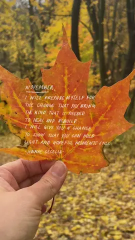 a november quote for you #happynovember 
