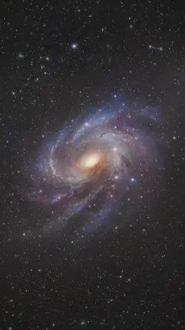 beautiful galaxy #capcut #fypシ #galaksi #bimasakti #milkyway #astrophile #planet #exoplanet #pesonaindonesia #indonesia #malaysia #allah #palsetine #galaxy #nasa #jj #alamsemesta #fyp #allinprabowo 