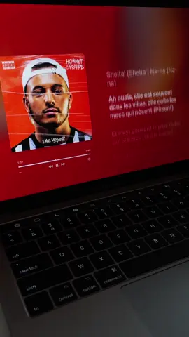 Sheitana - Hornet La Frappe || #sheitana #hornetlafrappe #pourtoi #fyp #viral 