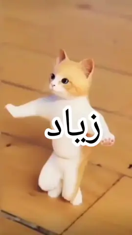 #اطلبو_اسم🎤🎤  #وصلوني20kمتابع🥺  #اللي،عايزني،اغنيلو،يكتب،اسمو،في،،،،،،،،،الكومنتات،وانا،هغنيلو🎤🎤 