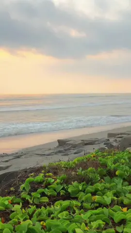 Jangan datang lagi cinta