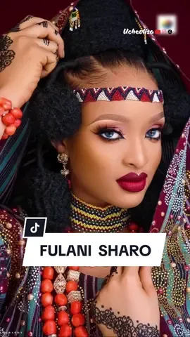 Fulani Sharo Ceremony #fulani #nigeriantiktok🇳🇬 #fypシ #sharo #fulaniweddings 
