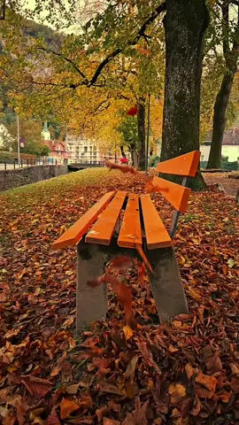 Kalbimi en güzel SENde hissettim.🍂🧡🔐#@Sakir Yildirim06(G❤️Ş)🔐 