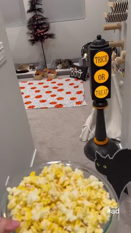 Merrick Soirées was the start of the kitties’ Spooky Movie Night, because they deserve only the best 🎬🍿 #MerrickPartner #fyp #foryou #foryoupage #merrick #merrickpetcare #merricksoirees #cattok 