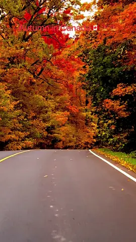 🇨🇦🇨🇦🍁🍁💔💔🎸🎸❤️‍🩹❤️‍🩹🇵🇰🇵🇰#fallincanada🍁🍂🧡 #paradiseonearth🇨🇦🇨🇦 #autumncoloursincanada🇨🇦🇨🇦🇨🇦 #fallcolours🍁🍁 #canada_life🇨🇦 #autumn #paradiseonearth🇨🇦🇨🇦 #nansi❤️🎸 #🇨🇦🇨🇦💔💔❤️‍ #🎸💋⚡️⭐️🤟🏻❤️‍🔥🤑 #monitizedviews❤️❤️❤️foryou💞💞💜viral💕 #fall🇨🇦🇨🇦🍁🍁🎸🎸❤️❤️💋💋💔💔#