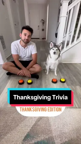 THANKSGIVING TRIVIA 🦃 #thanksgiving #happythanksgiving #turkey #smartdog #fyp 