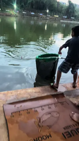 #viral #pesca #pesqueiro #pescaeaportiva #peacador #trend #quintafeira #tamba #pirarucu #pescado 