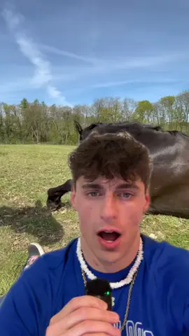 This video of a man and a horse just went super viral #foryou #horse #man #horsevideo 