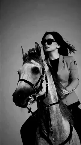 #horse  #حصان  #حصان_عربي_أصيل  #حصان_عربي #حصاني  #🐎🐎🐎  #ثقة #غرور #شخصيه #سموالاميره666  #انثى #انثي_قويه #جوزاء #متمرده  #خياله 