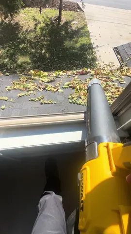 I love my @DEWALT blower. #dewalt #20v #electricblower 
