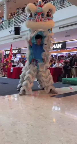 🇲🇾 2023 马来西亚 吉隆坡嶺南鶴藝文化體育會 Nice Lion colour 😍😍 狮形漂亮 Beautiful lion shape @丁世恒  #马来西亚 #malaysia #malaysiatiktok #liondance #mualan #tariansinga #barongsai #醒獅 #醒狮 #舞狮 #liondancer #liondanceperformance #liondancecompetition #liondancelife #高桩 #高桩舞狮 #高桩舞狮🦁 #高桩舞狮表演 #舞狮生活 #舞狮比赛 #舞狮表演 #舞狮运动 #liondancemalaysia #liondance2023 #múalan #múalan2023 #lansurong #lansurong2023 #liondancing #吉隆坡嶺南鶴藝文化體育會 #鹤山狮 #hoksanlion #hoksan  