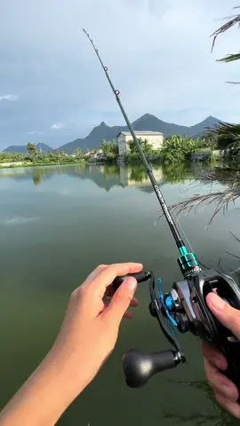 Strikee again hiu tawar pemakan bakso telur😓🥶 #hiu #hiutawar #mancing #fishing #fishon #fishingvideos #mancingmania #fyp #fypシ #fypシ゚viral #fishinglife #mancingikan #shimano 