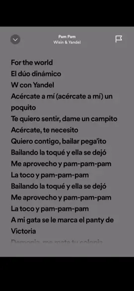 Pam Pam - Wisin & Yandel 💃🏻🔥#reguetonviejo #wisinyyandel #fry #parati #letrasdecanciones🎧🎶 