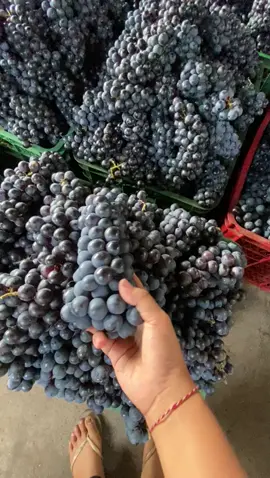 Selesai umroh kembali ke toko bismillah semoga Allah luaskan rezeki biar bisa bulak balik umroh Aamiin. anggur Bali PO kedatangan Sabtu japri Yo 😍