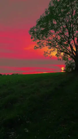 منظر بياخدم لعالم تاني ، لون غروب الشمس بيعكس عالم خيالي، تأمل وراحة نفسية، #تصويري #مناظر_طبيعيه 