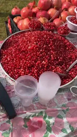 #ڤیستیڤاڵی هەنارلەهەڵەبجە#