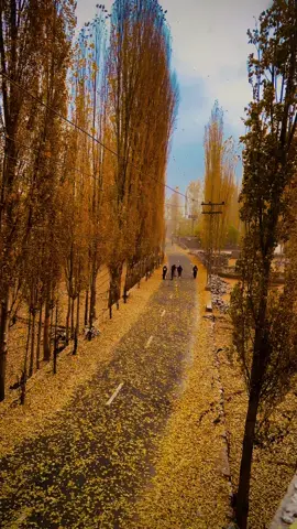 Autumn 🍂in gilgitbaltistan                         #khaplu #pakistan #unfrezzmyaccount #viral #fyp #dildilpakistan #foryou 