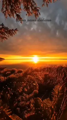 #tiktokviralmusic #fypviral #musicaromantica #buenasrolitas2022 #tiktokmusica #galigaliano 