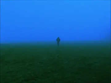 tired #cinematic #videography #nature #cinematography #trees #fog #morning #bluehour  #darkvibes #fyp #fy #earlymorning 