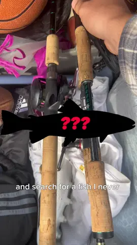 Fishing For My New Favorite Species! #fishing #troutfishing #rainbowtrout #fishingfun #fishingtiktoks 