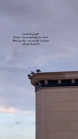 #تصويري  #axplor #foryou #قران #قران_كريم #صباح_الخير #اجواء_الشتاء #الهشتاقات_للشيوخ 