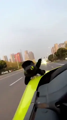 #caraccessories #carpendant #cargoodthing #foryou 