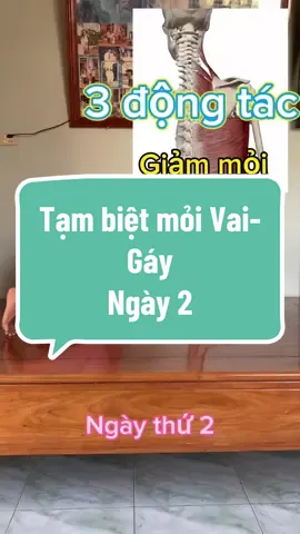 Series 7 ngày thư giãn vai gáy cổ (ngày 2) #songkhoe247 #yoga #yoganhuquynh #LearnOnTikTok 