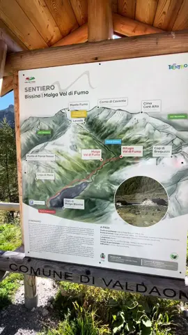 Val di Fumo, Val di Daone - Trentino🌲 #walk #escursione #valdifumo #trentino #camminata #perte #foryou #adventure #tiktok #tiktokviral #esplora #viaggiare #followme 