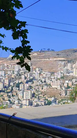 الله ريتها مجمعة مجعلكة علجميع  #جنين_نابلس_طولكرم_رام_الله_فلسطين 