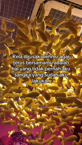 #fyp #fypシ #foryou #viral #trand #sunyi 