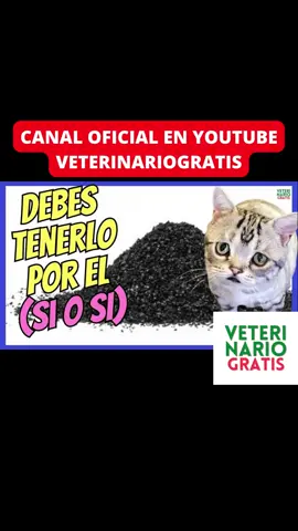 🆘 ¿CÓMO USAR EL CARBÓN ACTIVADO PARA GATOS ENVENENADOS? 🆘 Obtén información esencial sobre el uso del carbón activado como medida de primeros auxilios en casos de envenenamiento en gatos. Conoce las pautas y precauciones para administrarlo de manera segura y efectiva. 🐱🌑 #carbón  #PrimerosAuxiliosFelinos  #EnvenenamientoEnGatos  #EmergenciaAnimal  #CuidadoFelino  #SaludGatuna  #prevención  #MascotasSeguras  #AmorPorLosGatos  #BienestarAnimal  🩺🐾