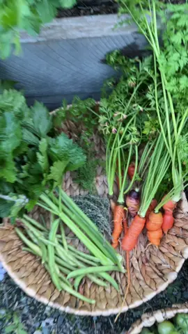 Last night’s #gardentotable dinner 😋 #growyourownfood #gardenharvest 